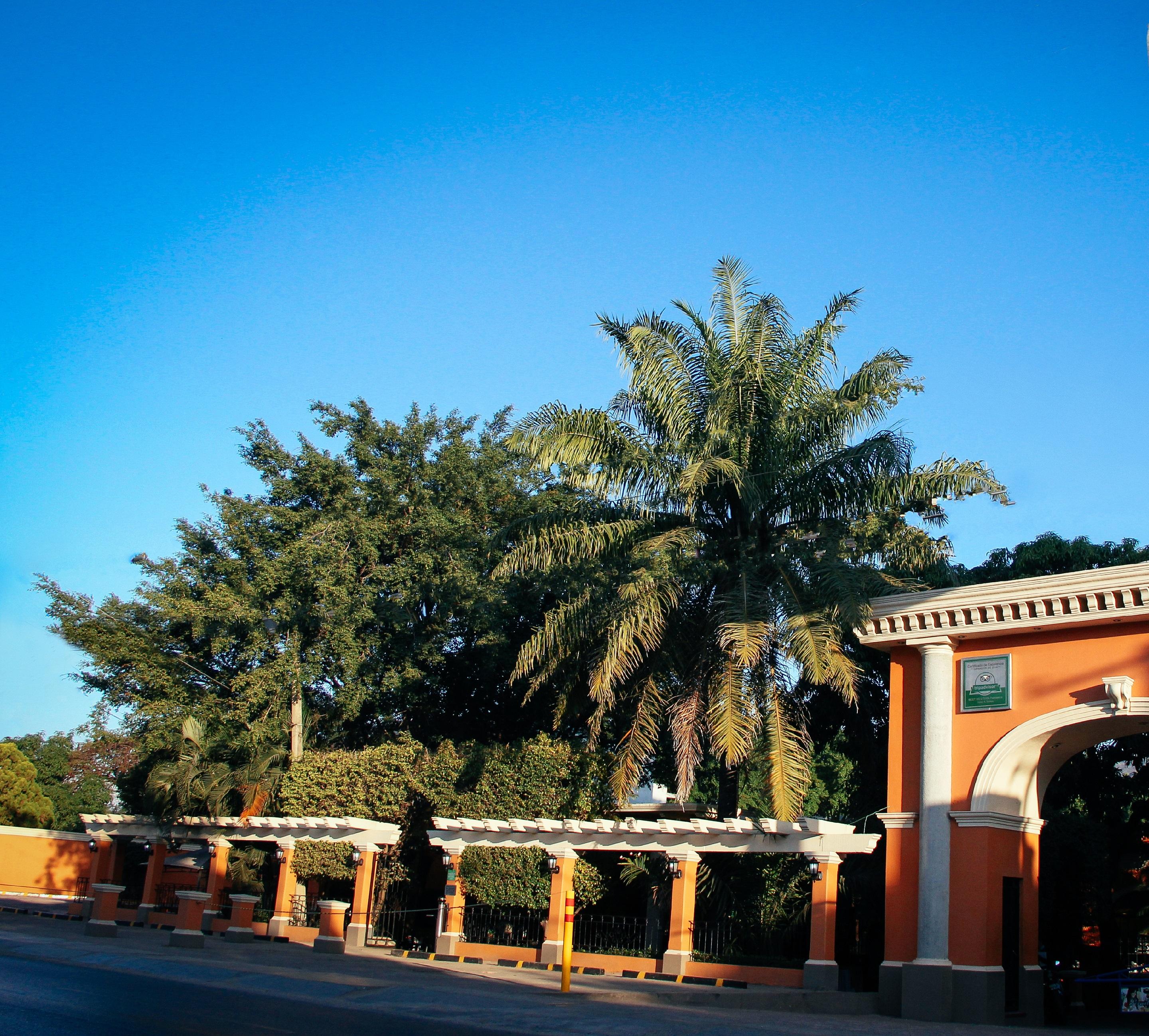 Palmareca Inn-Suites-Studio Tuxtla Gutierrez Exterior photo